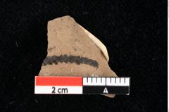 Foto (Detailansicht) von Widdringtonia ungeri Endl. (NHMW-GEO-2024-0188-0144)